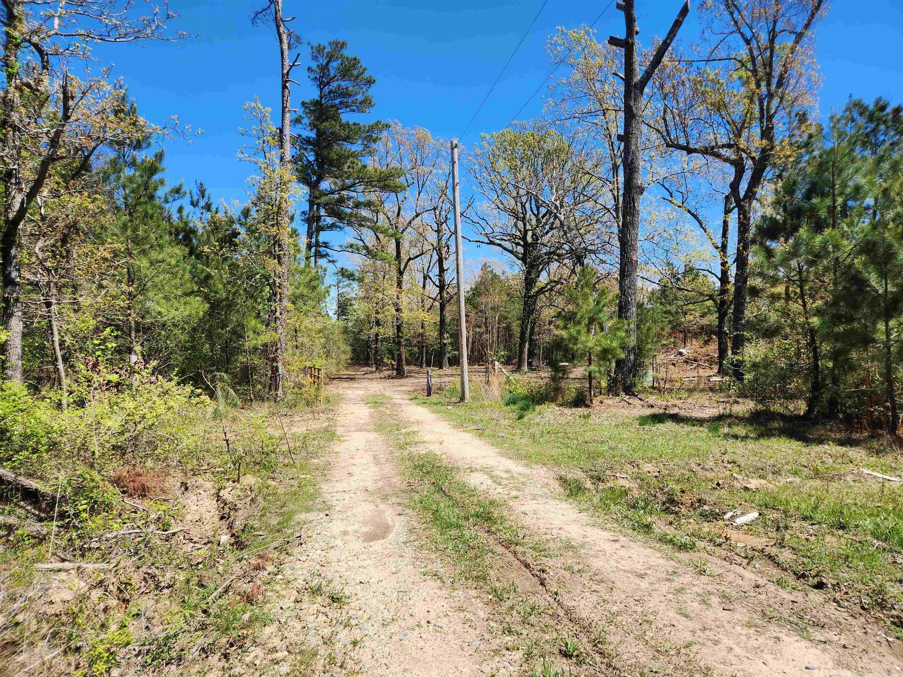 13000 W 54 Highway Property Photo 2