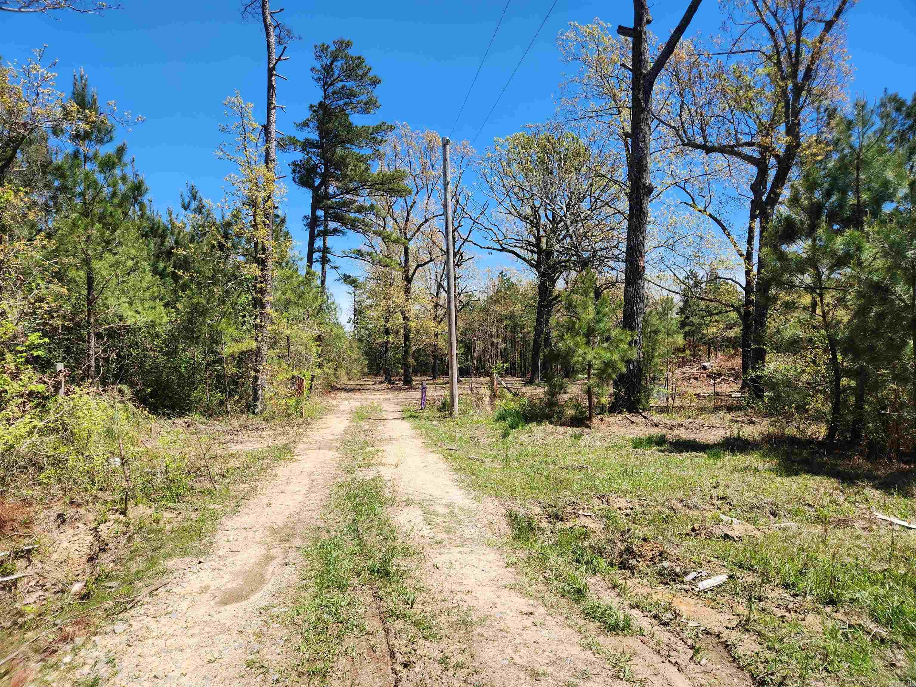 13000 W 54 Highway Property Photo 5