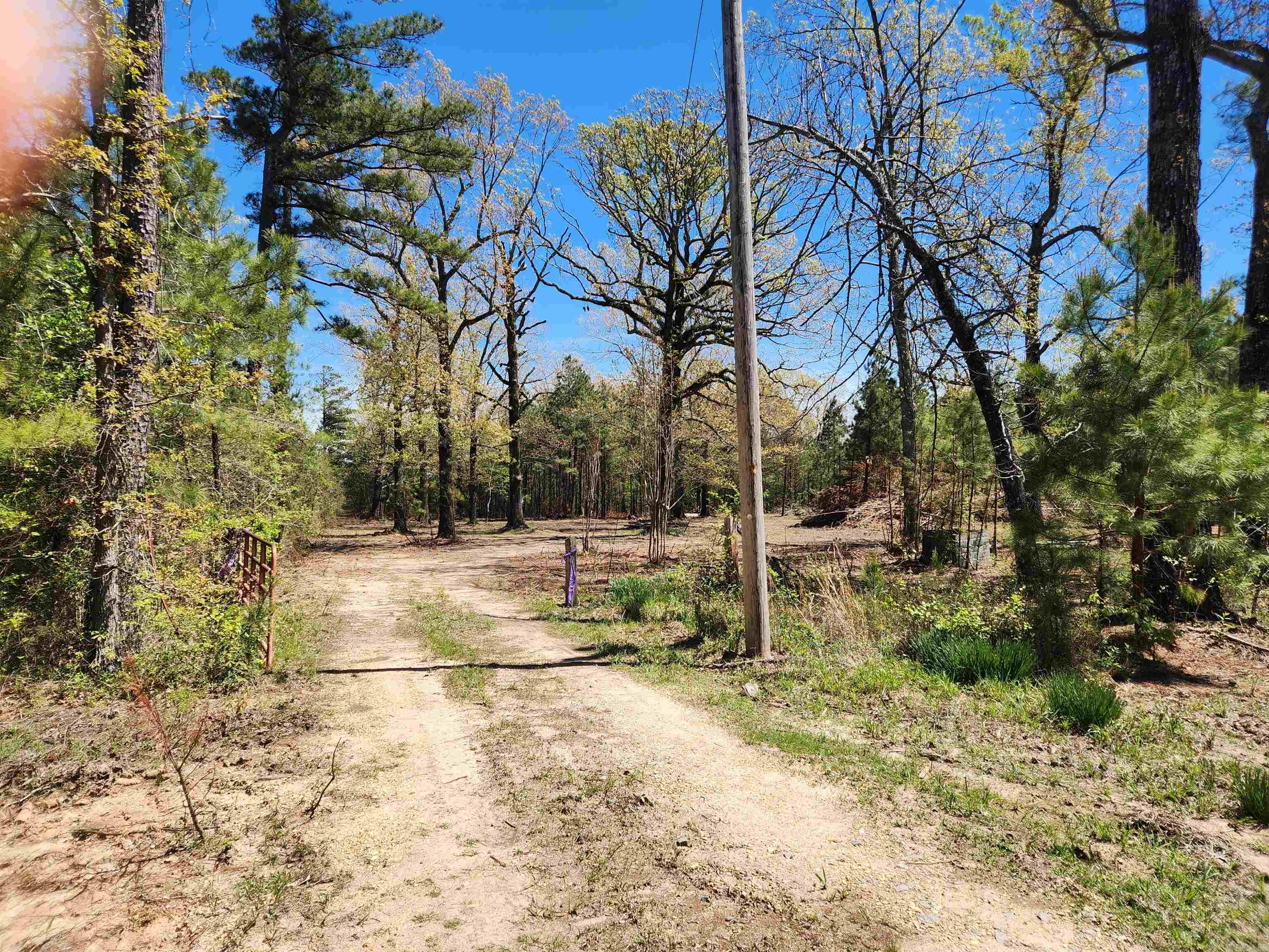 13000 W 54 Highway Property Photo 6