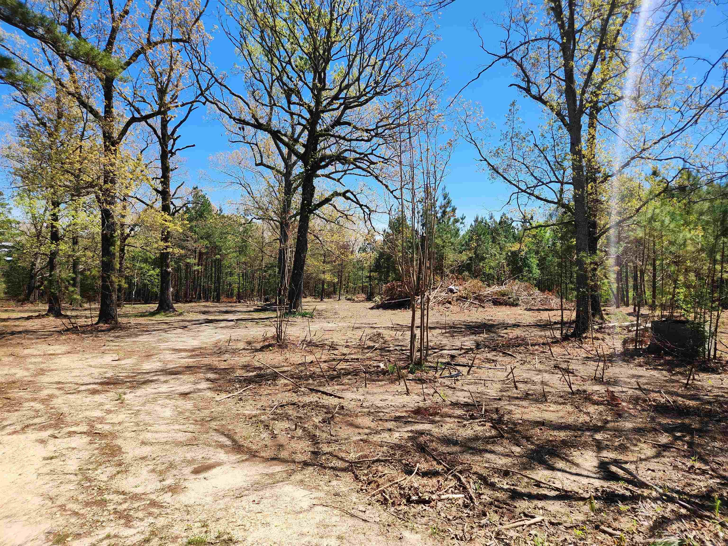 13000 W 54 Highway Property Photo 7