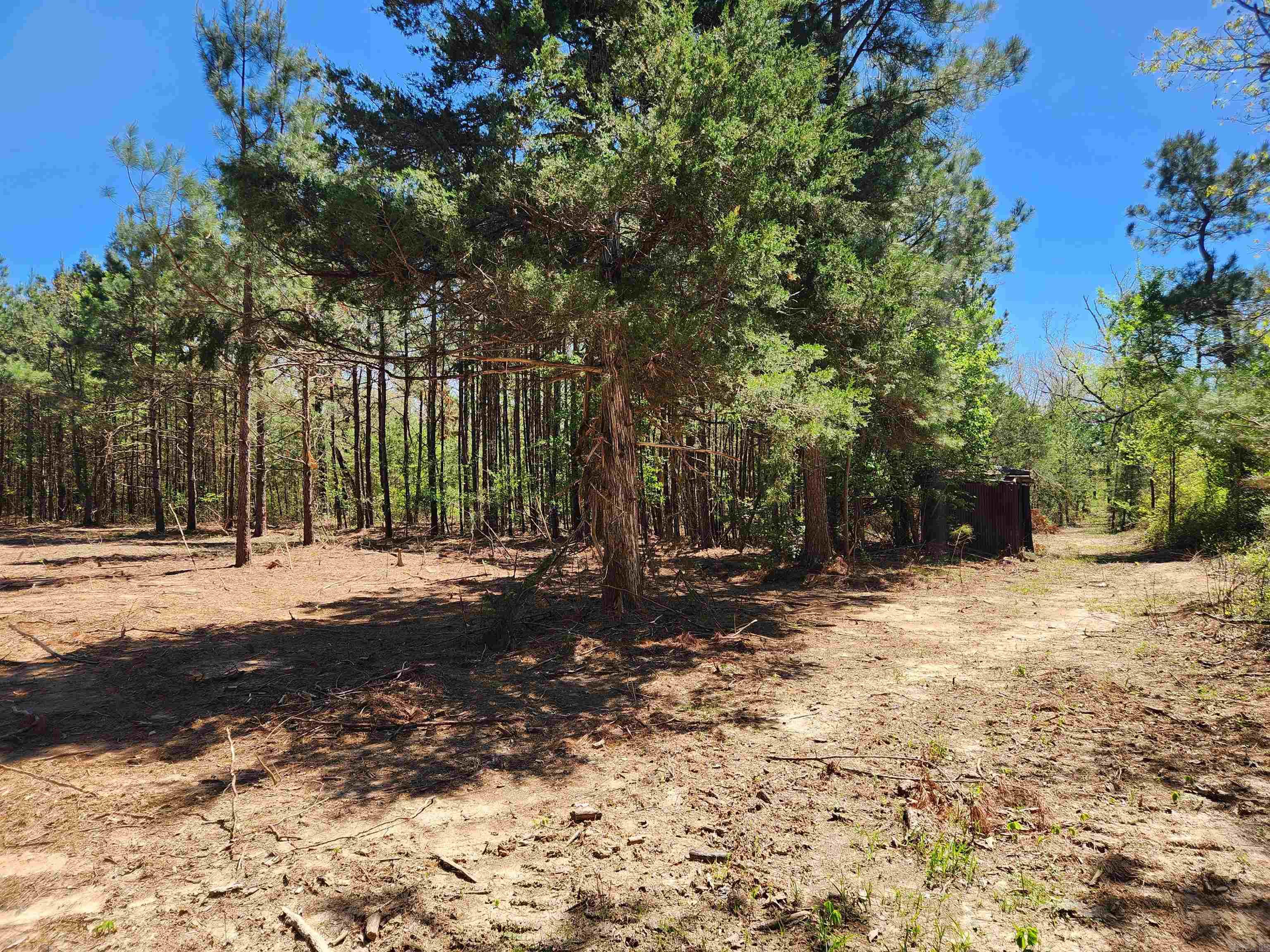 13000 W 54 Highway Property Photo 9