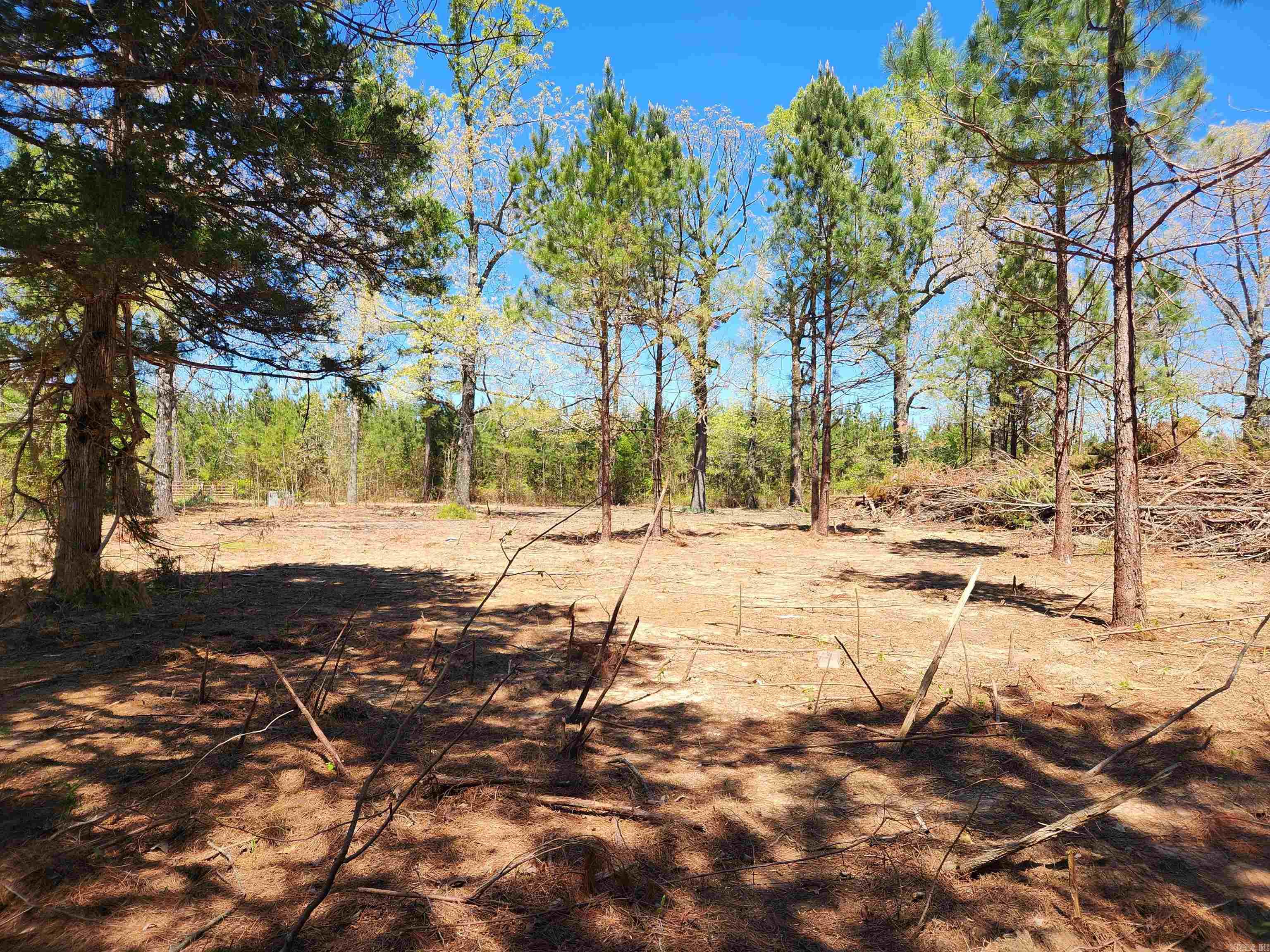 13000 W 54 Highway Property Photo 11