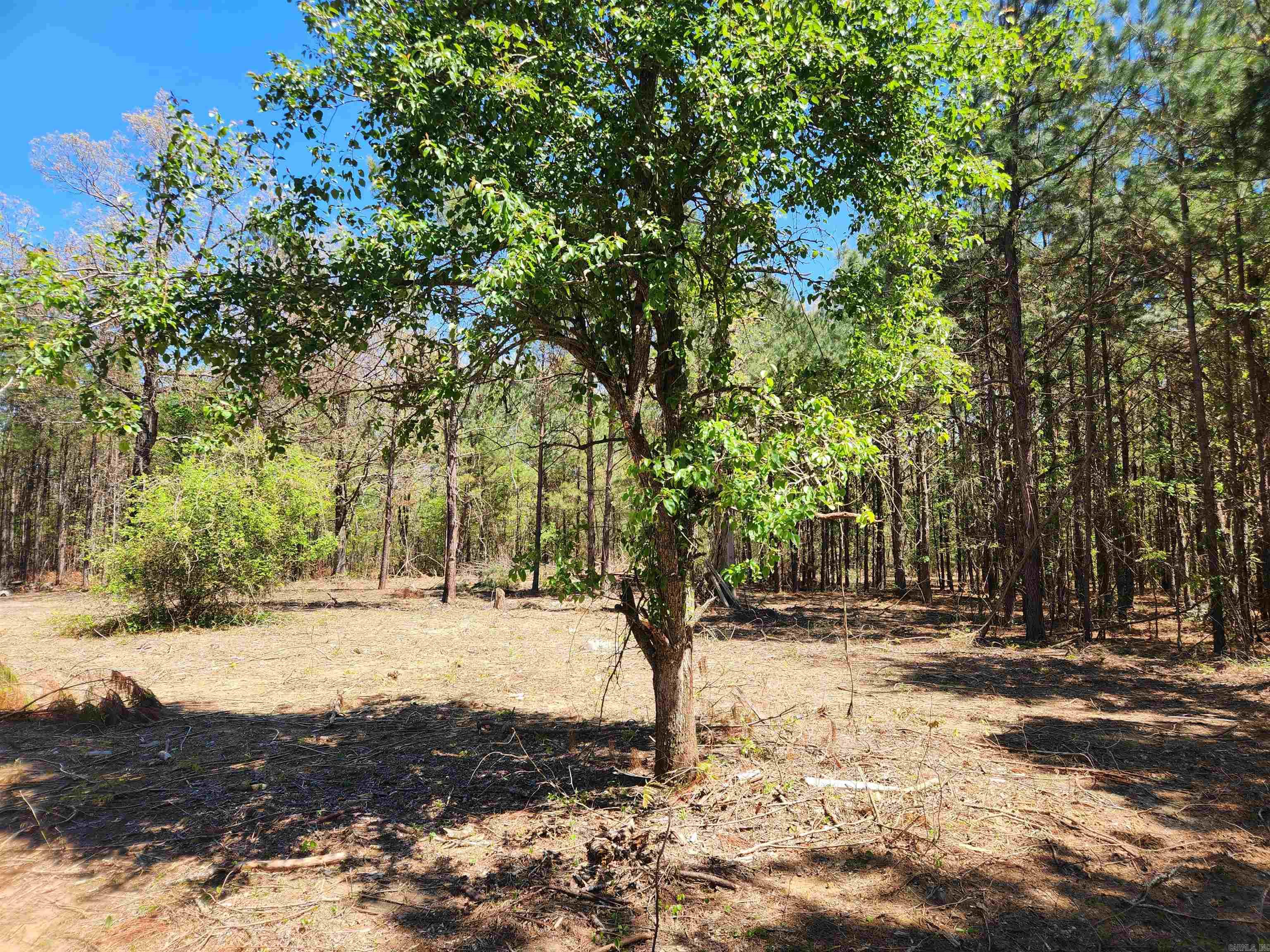 13000 W 54 Highway Property Photo 12