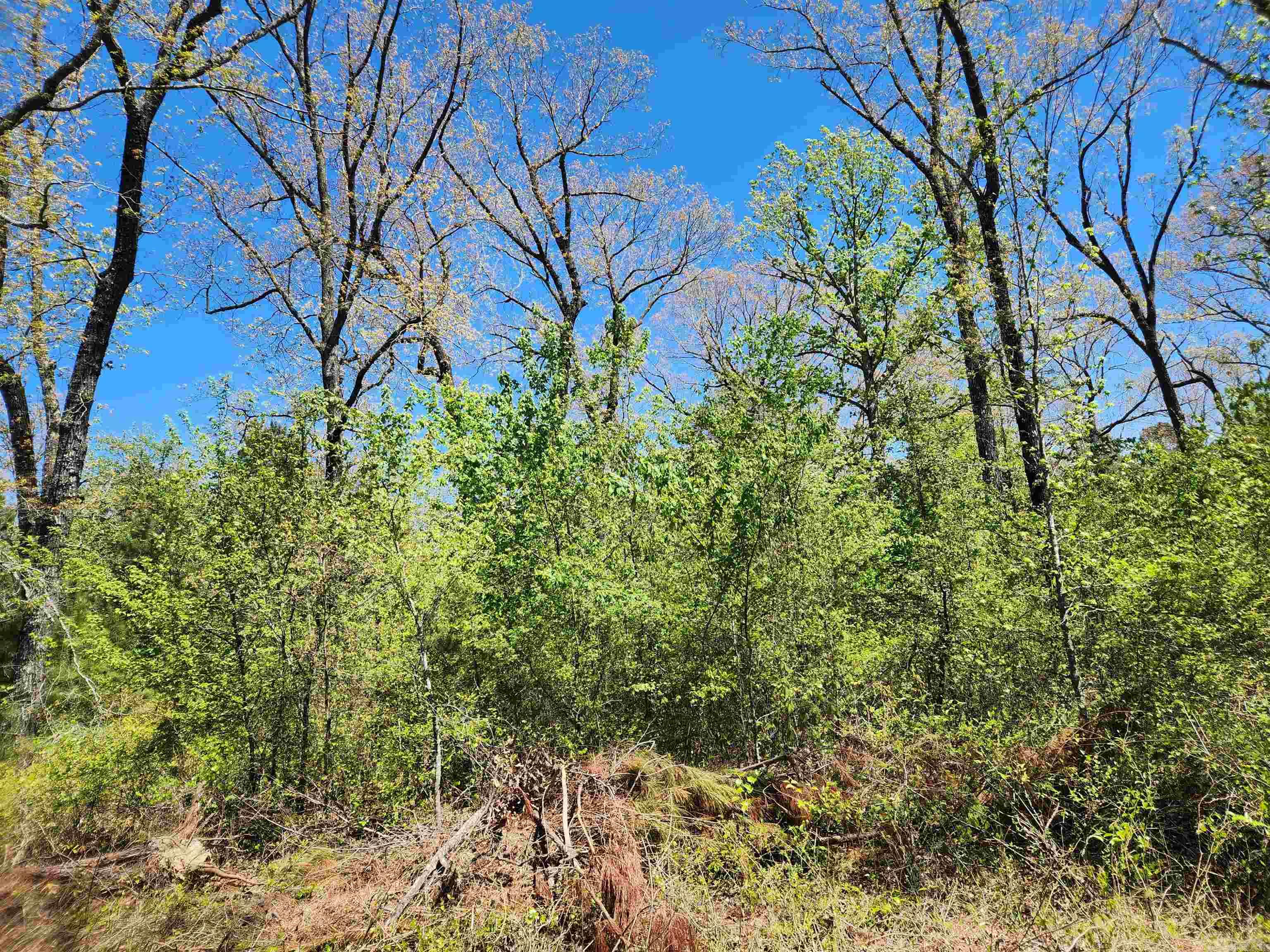 13000 W 54 Highway Property Photo 15
