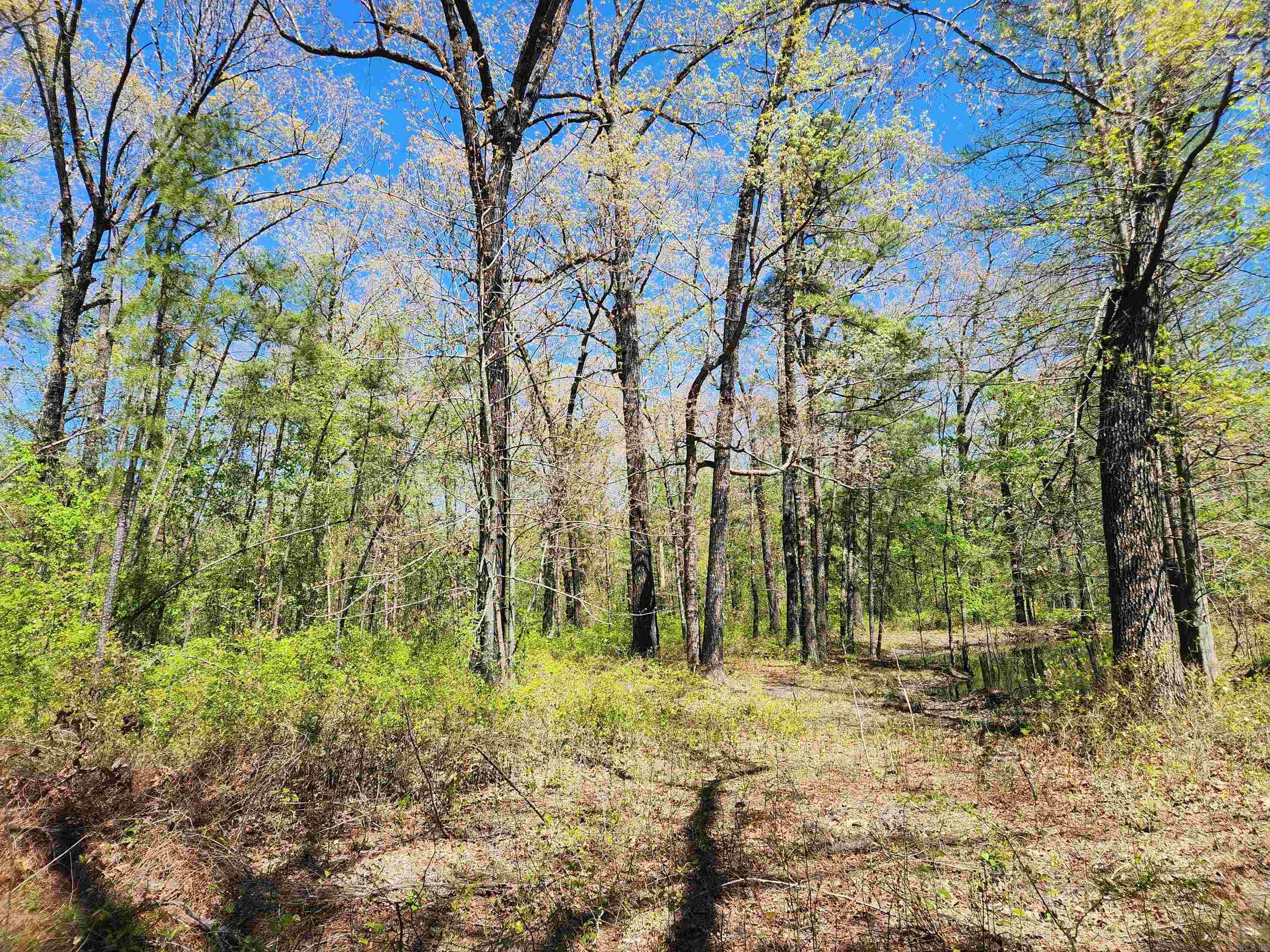 13000 W 54 Highway Property Photo 20