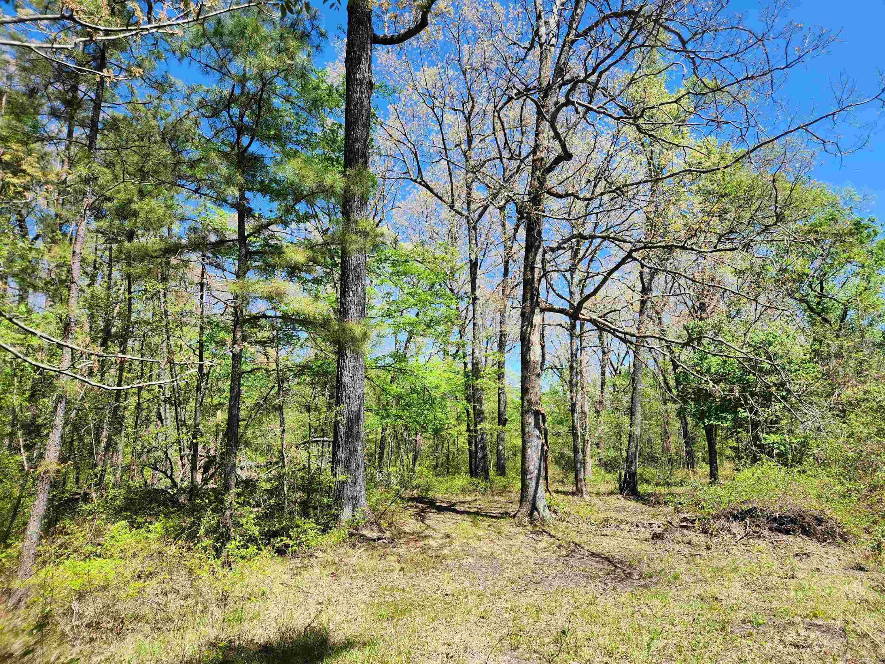 13000 W 54 Highway Property Photo 22