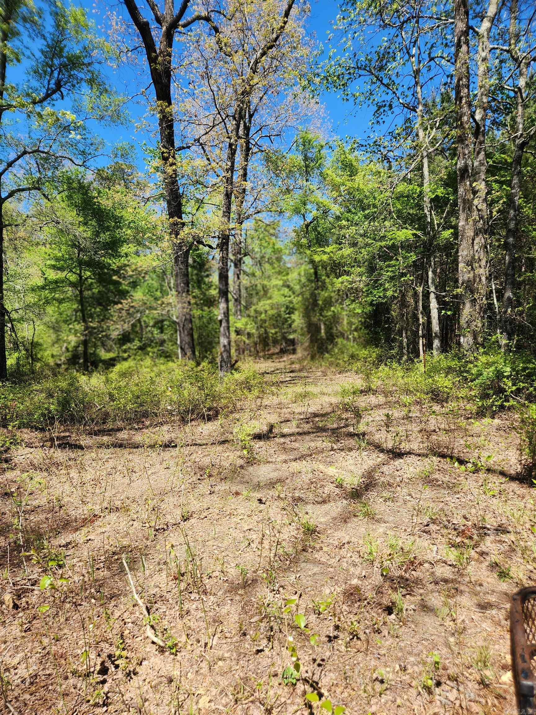 13000 W 54 Highway Property Photo 24