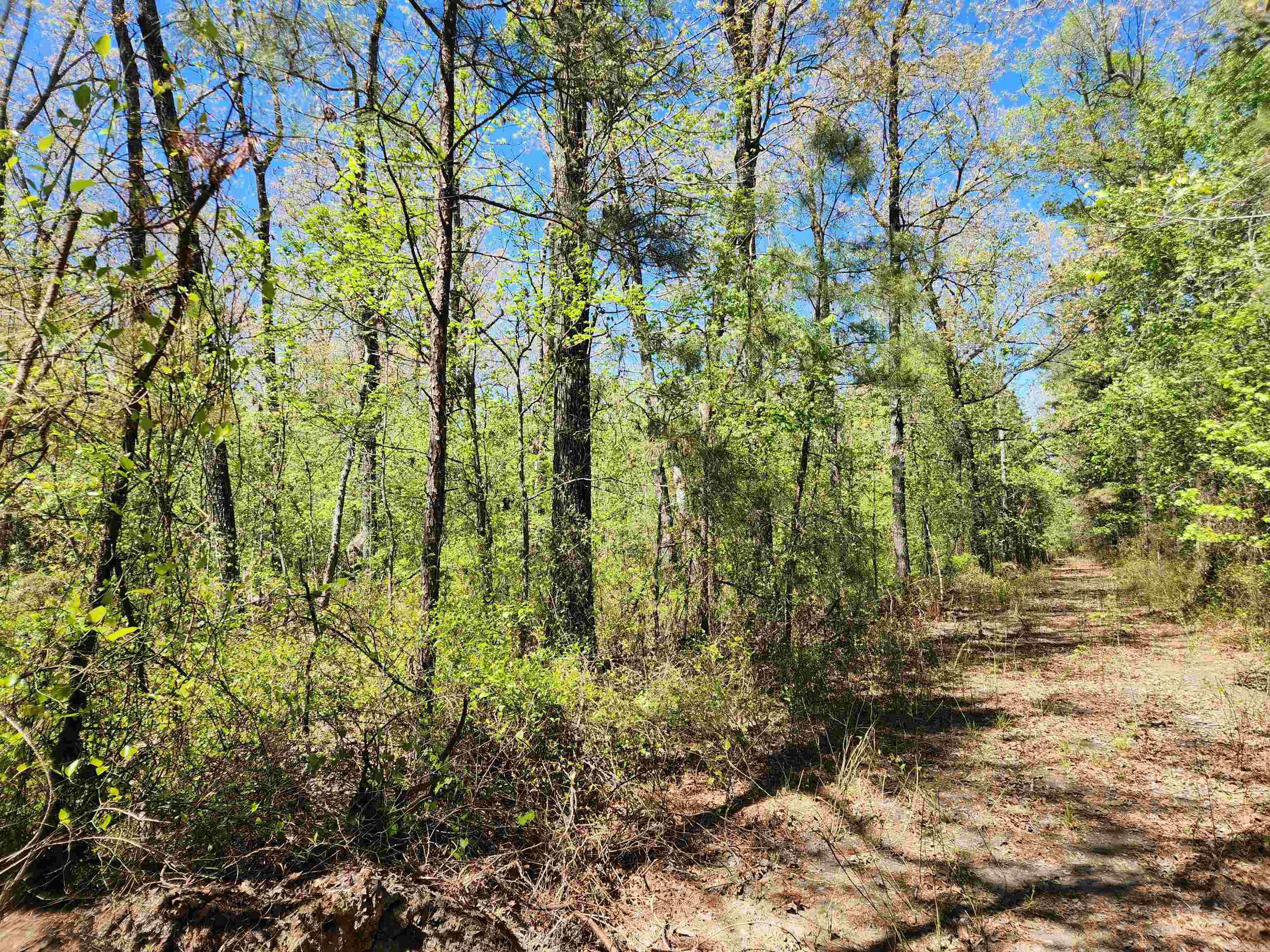 13000 W 54 Highway Property Photo 26
