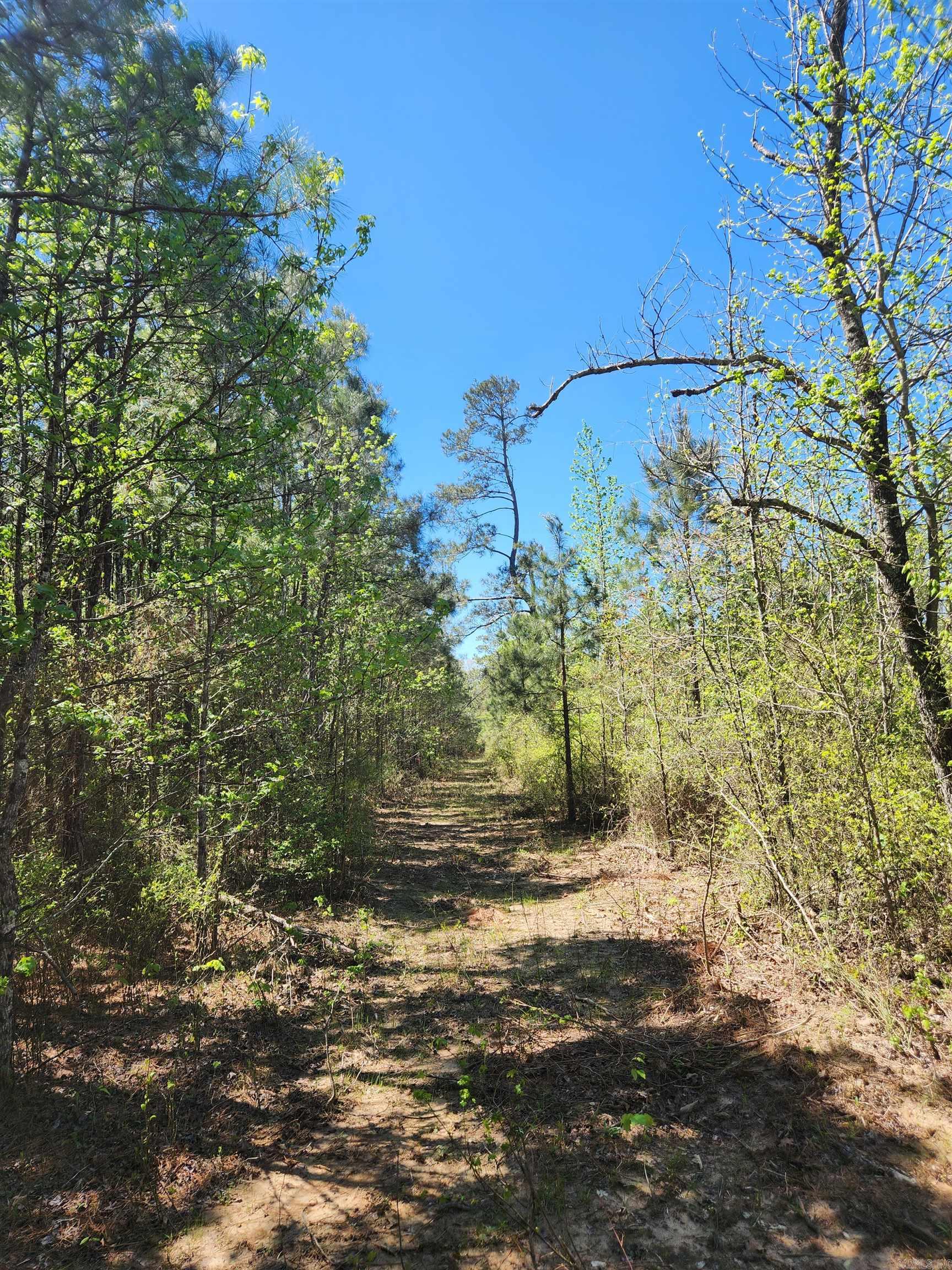 13000 W 54 Highway Property Photo 27