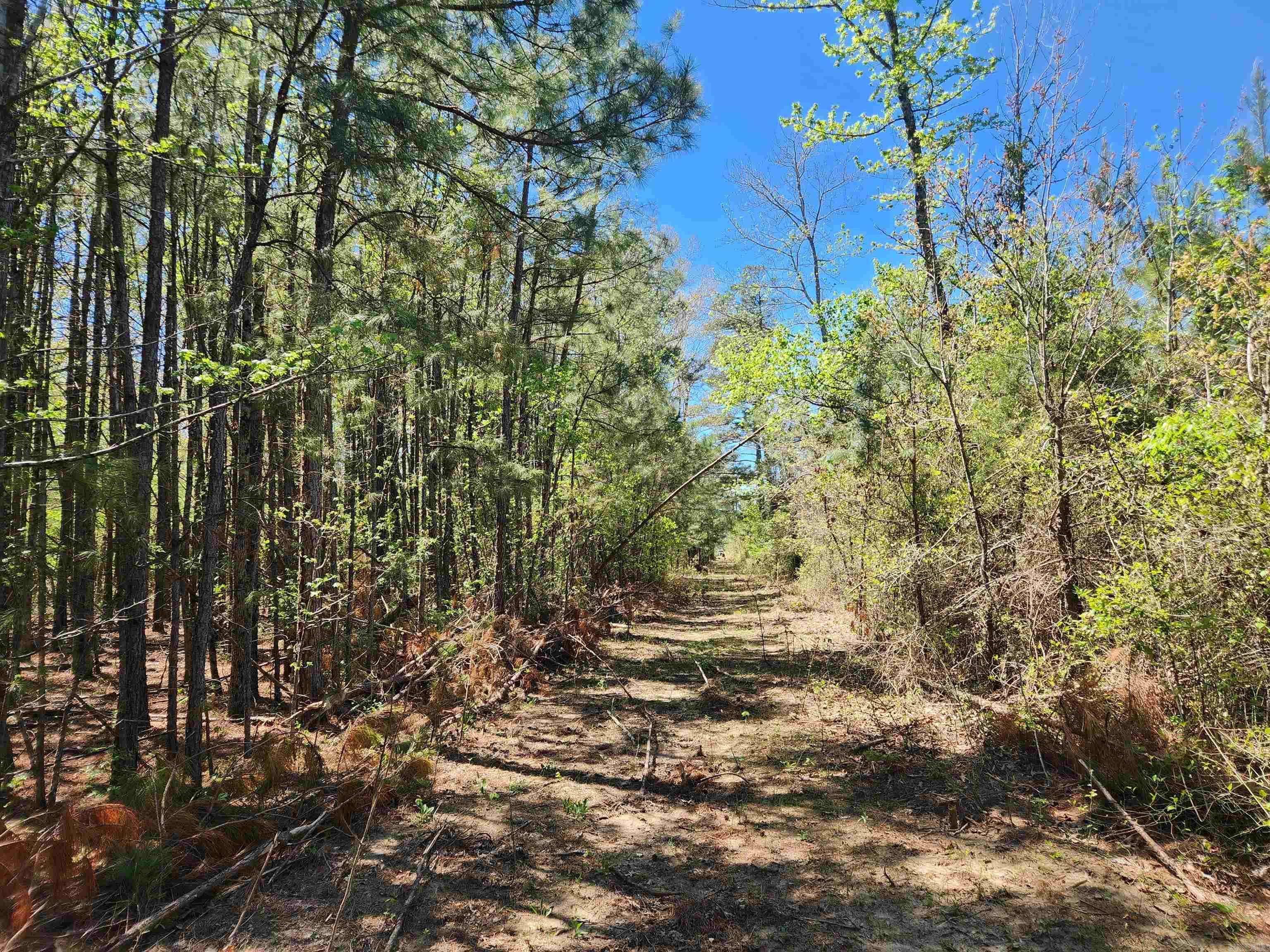 13000 W 54 Highway Property Photo 28