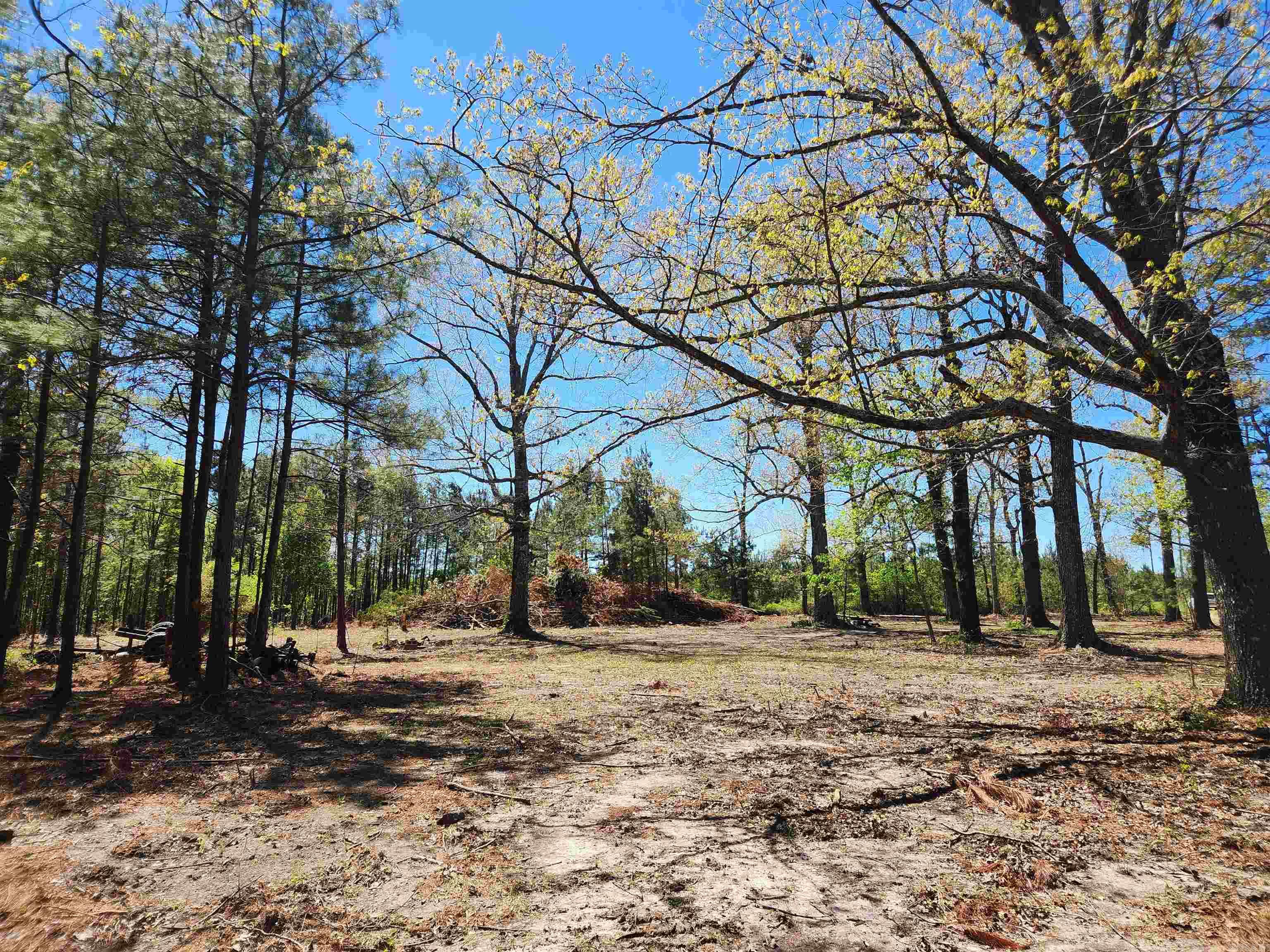 13000 W 54 Highway Property Photo 29