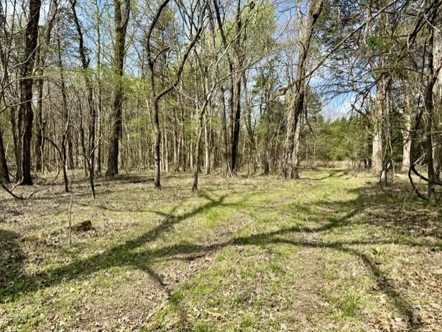 000 Milligan Campground Road Property Photo 1
