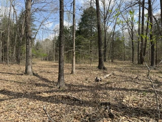 000 Milligan Campground Road Property Photo 2