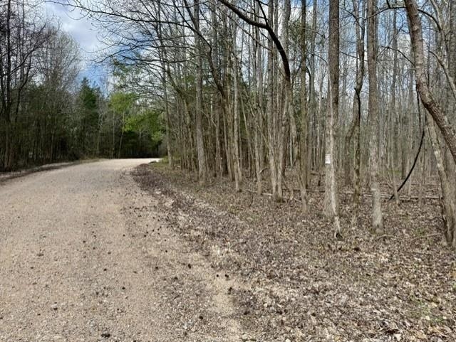 000 Milligan Campground Road Property Photo 3