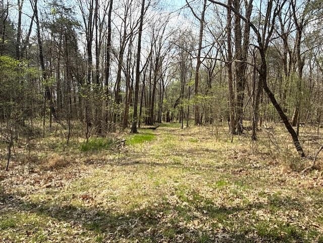 000 Milligan Campground Road Property Photo 4