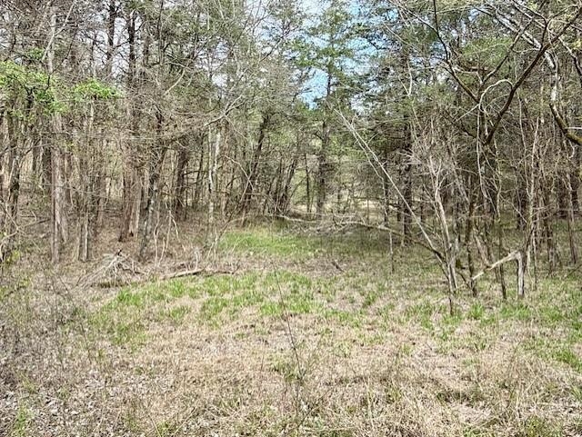 000 Milligan Campground Road Property Photo 5