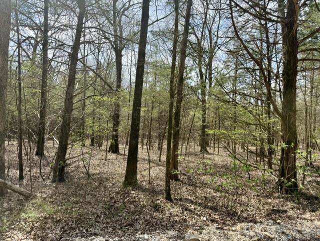 000 Milligan Campground Road Property Photo 6