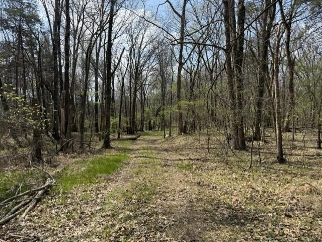 000 Milligan Campground Road Property Photo 7