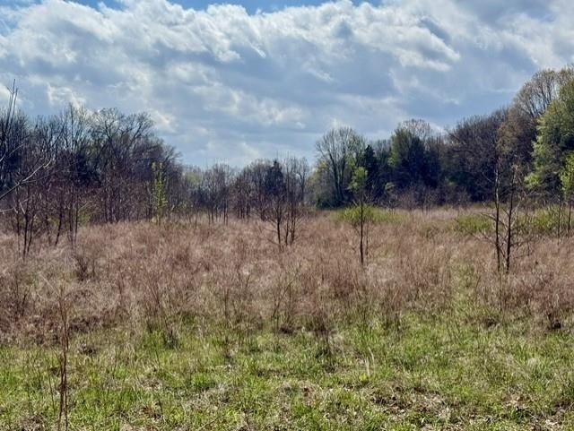 000 Milligan Campground Road Property Photo 8