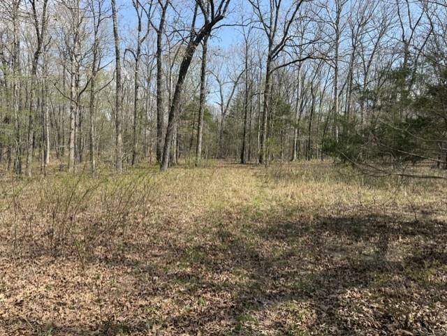 000 Milligan Campground Road Property Photo 9