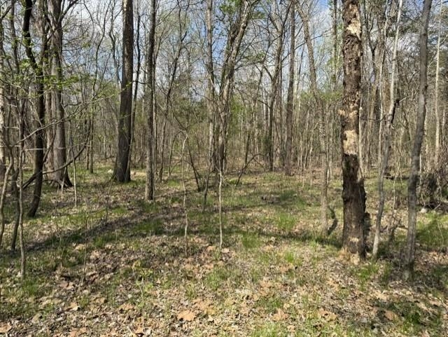 000 Milligan Campground Road Property Photo 10