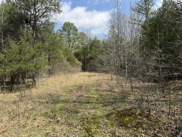 000 Milligan Campground Road Property Photo 11