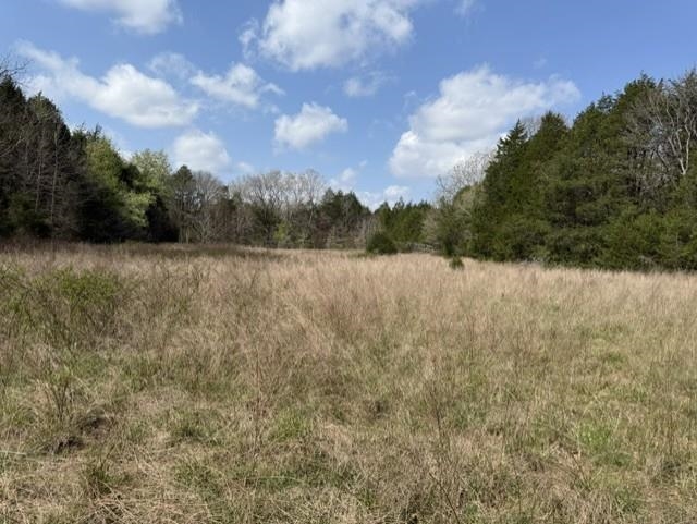 000 Milligan Campground Road Property Photo 12