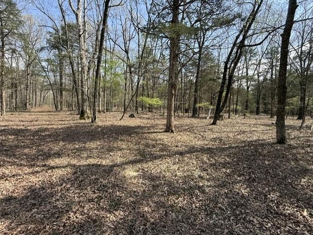 000 Milligan Campground Road Property Photo 13