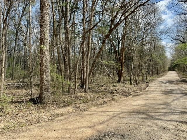 000 Milligan Campground Road Property Photo 14