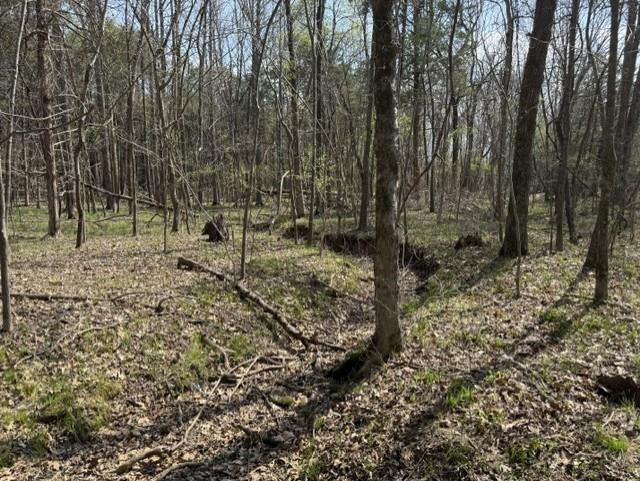 000 Milligan Campground Road Property Photo 15