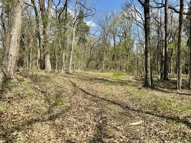 000 Milligan Campground Road Property Photo 16