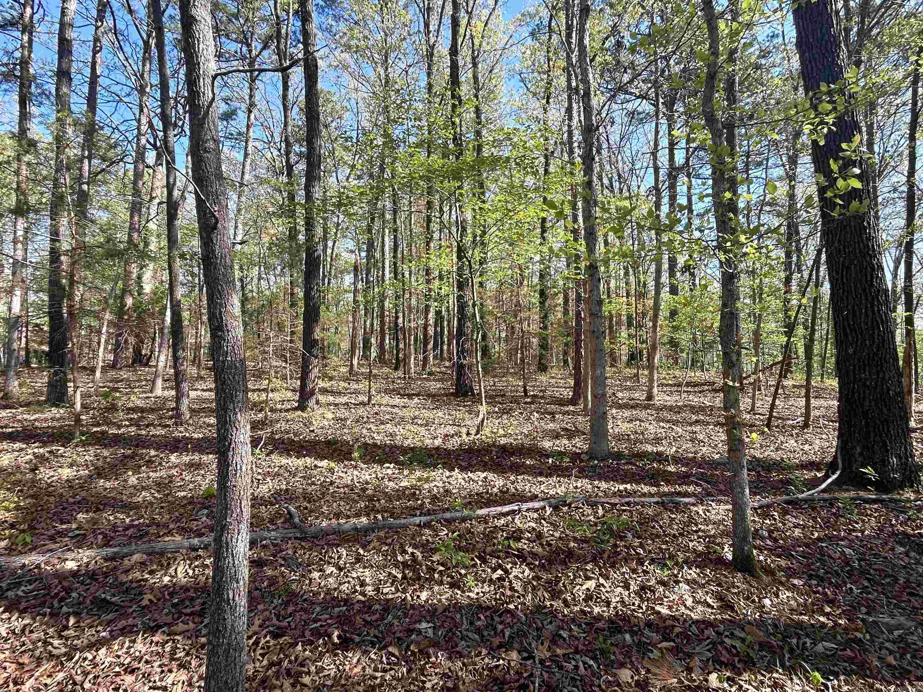 000 Wildwood Drive Property Photo 2