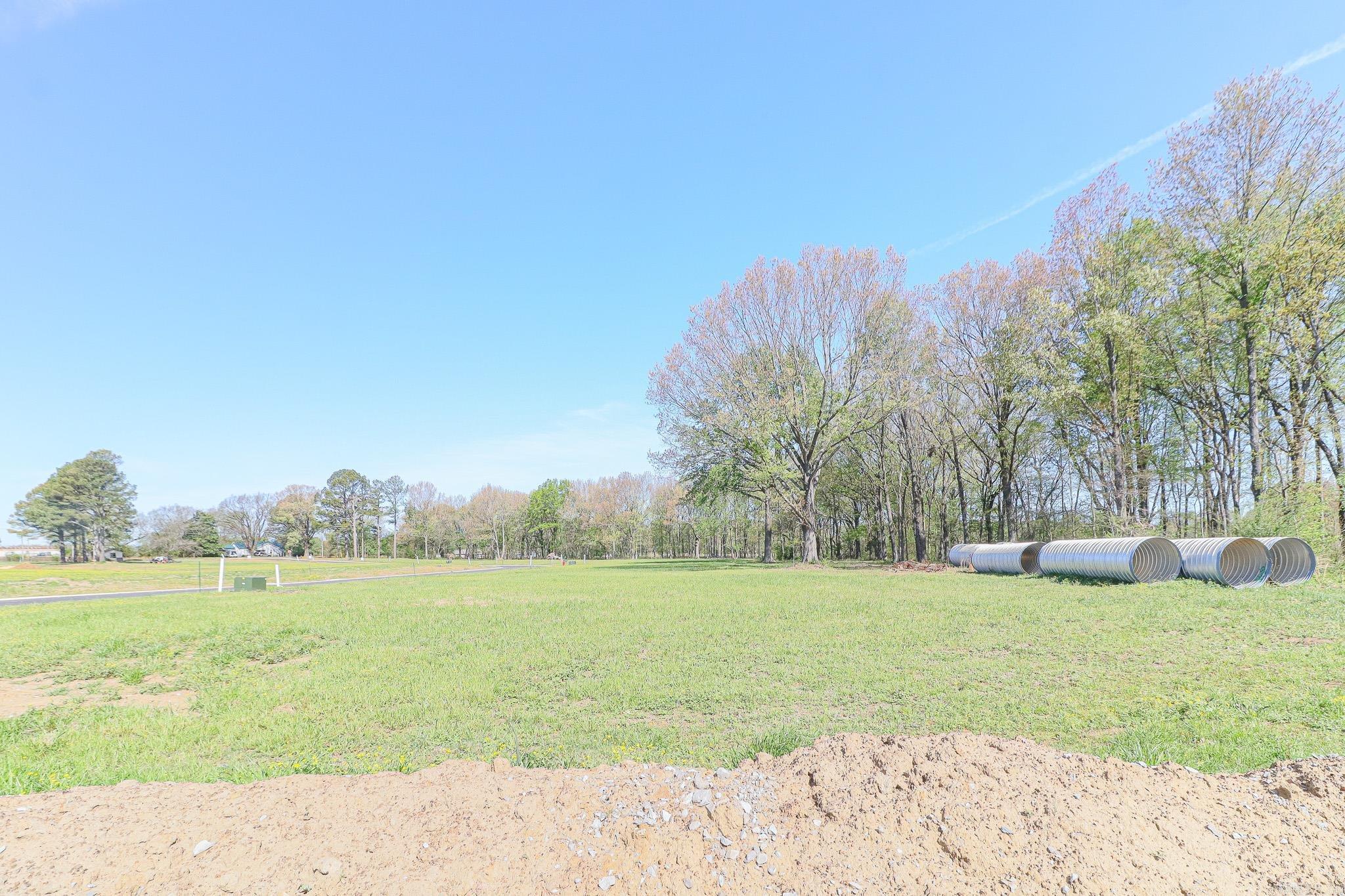 103 Horseshoe Creek Drive Property Photo 5