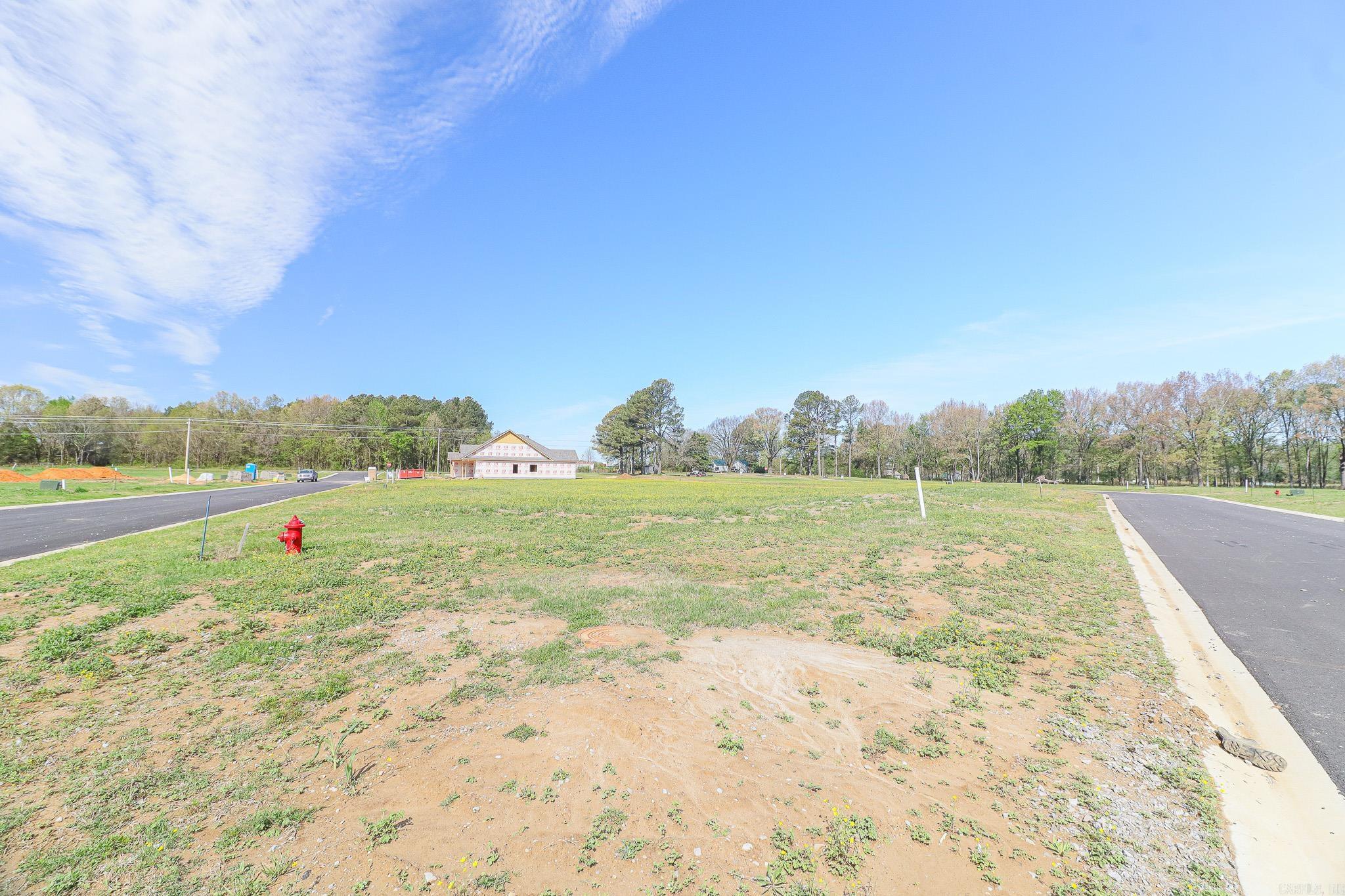 103 Horseshoe Creek Drive Property Photo 6