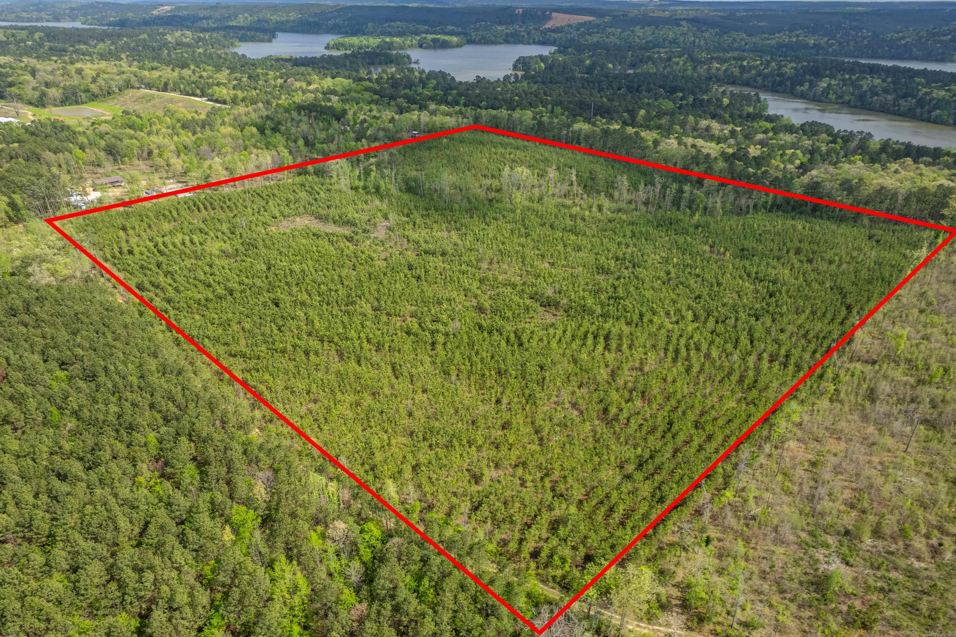 XXX Beech Dr. Property Photo 1