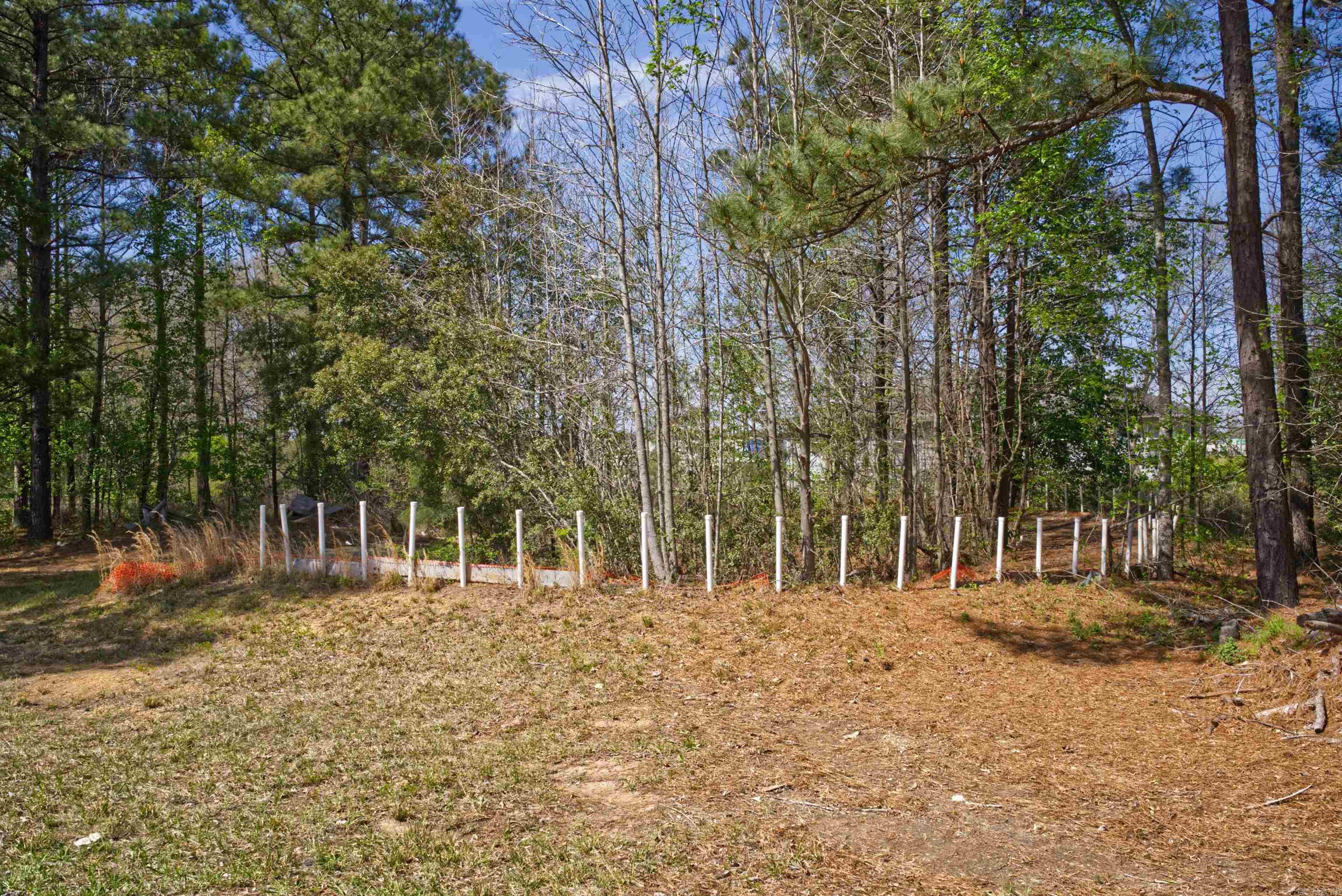 Carla St Property Photo 4