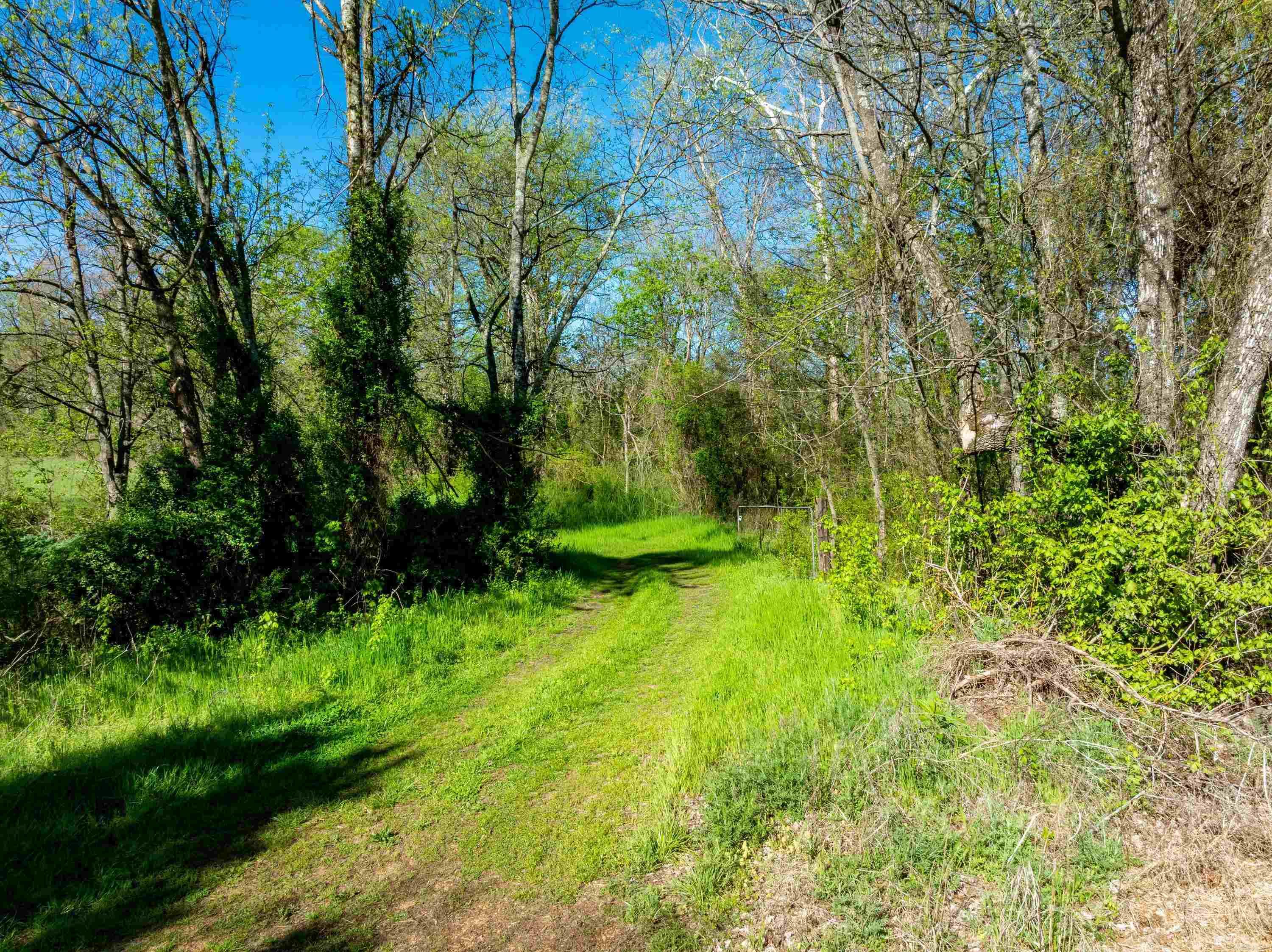 0 Highway 63 Highway Property Photo 11
