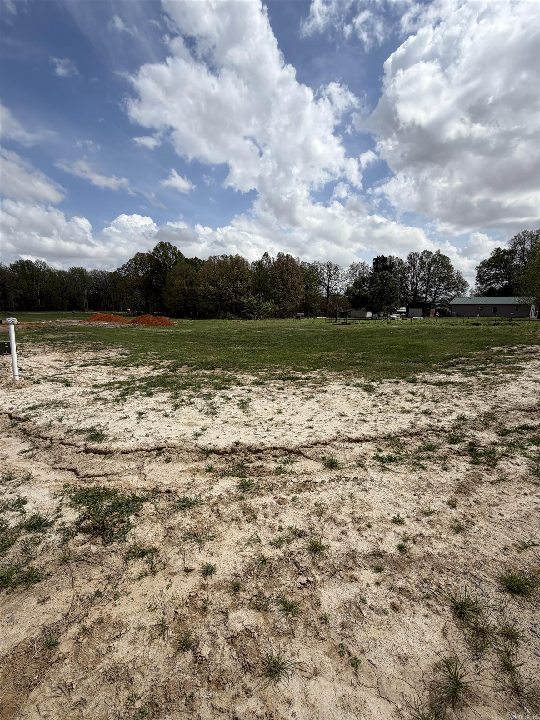 100 Horseshoe Creek Drive Property Photo 8