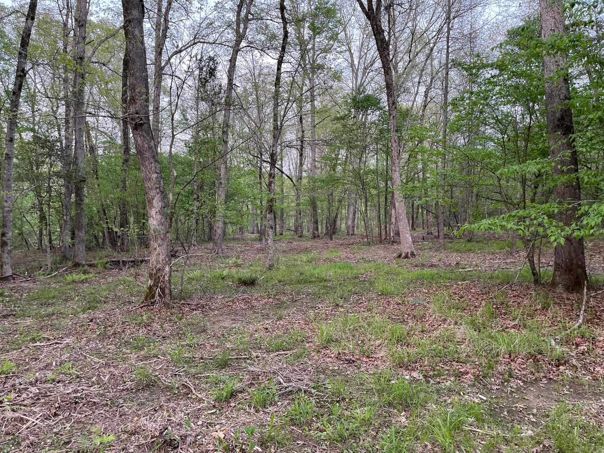 146 N Quail Lane Property Photo 7