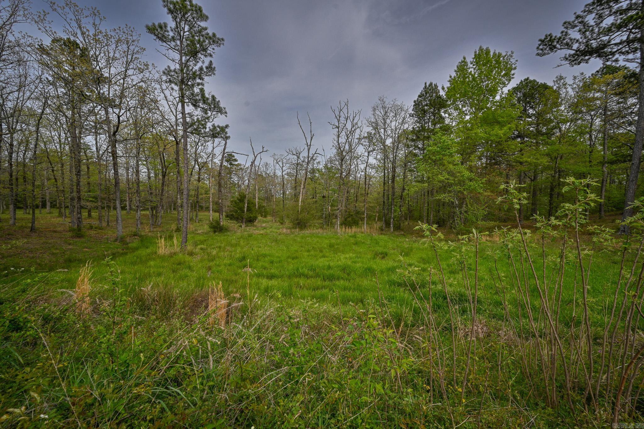 216 Polk Road 178 Property Photo 25