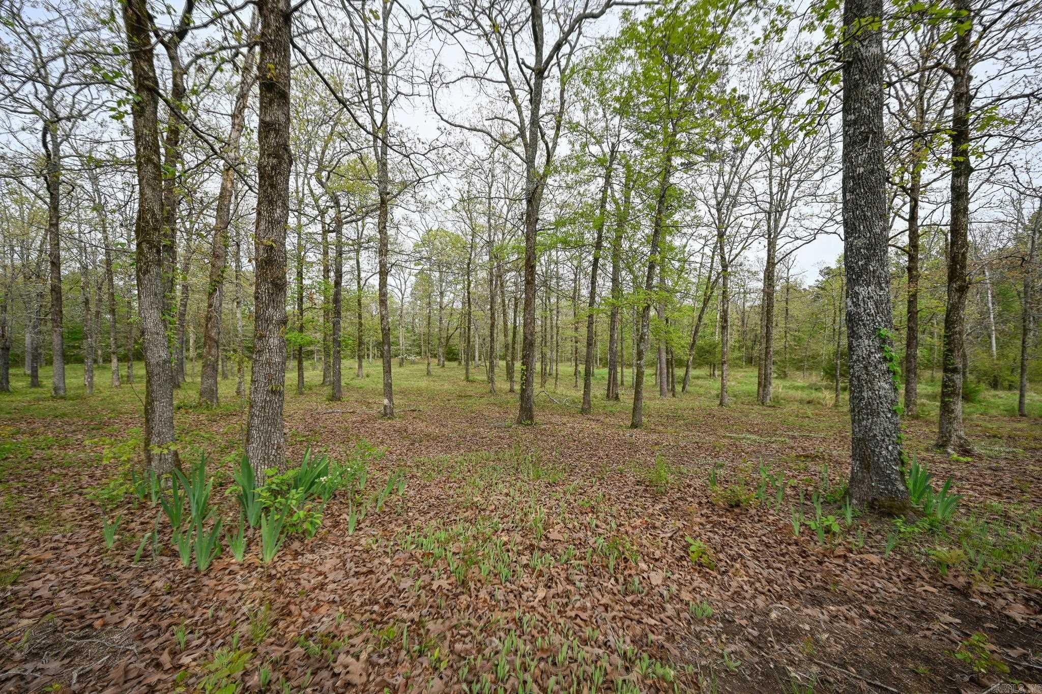 216 Polk Road 178 Property Photo 32