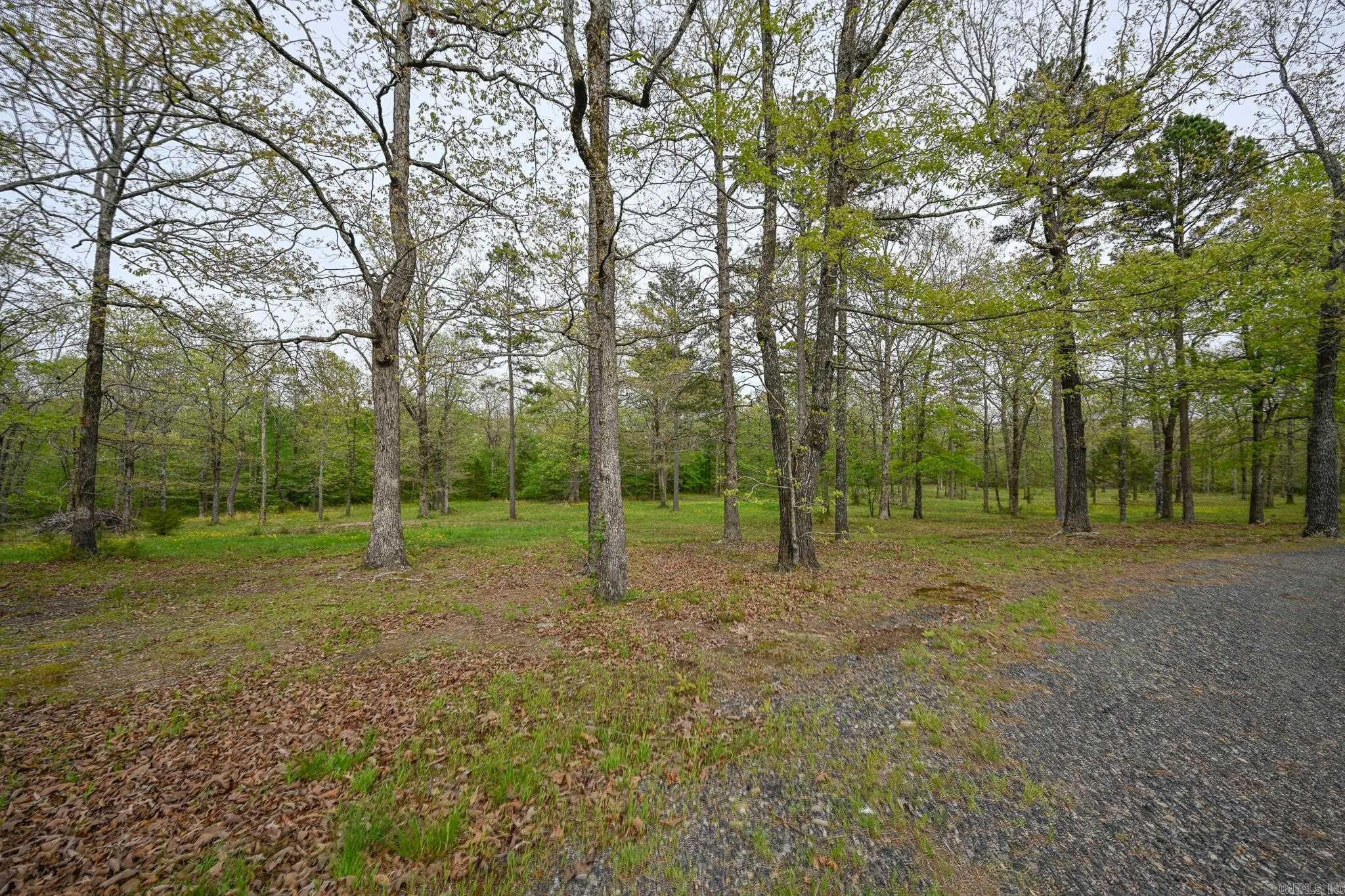 216 Polk Road 178 Property Photo 49