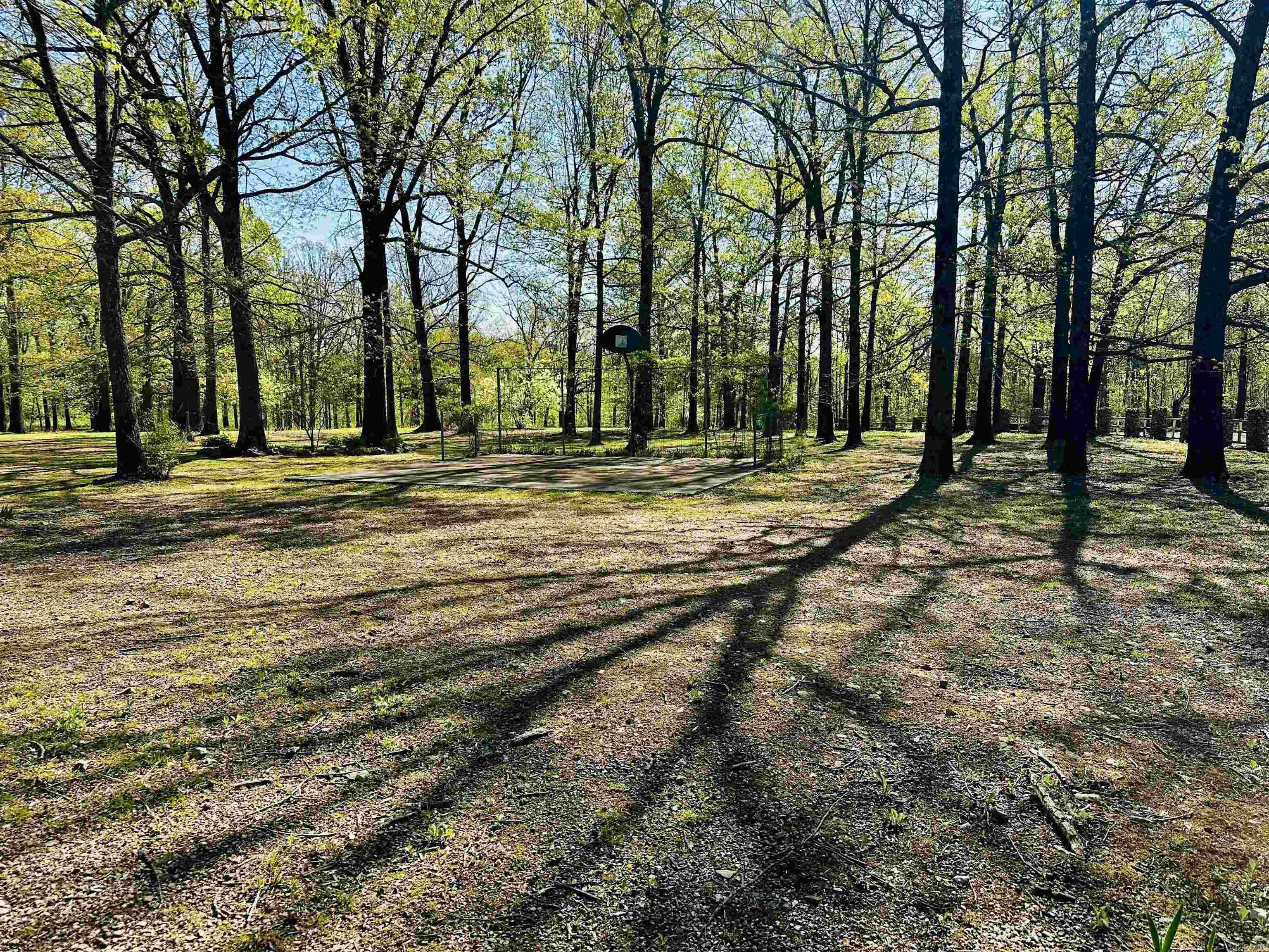 410 Davis Creek Road Property Photo 26