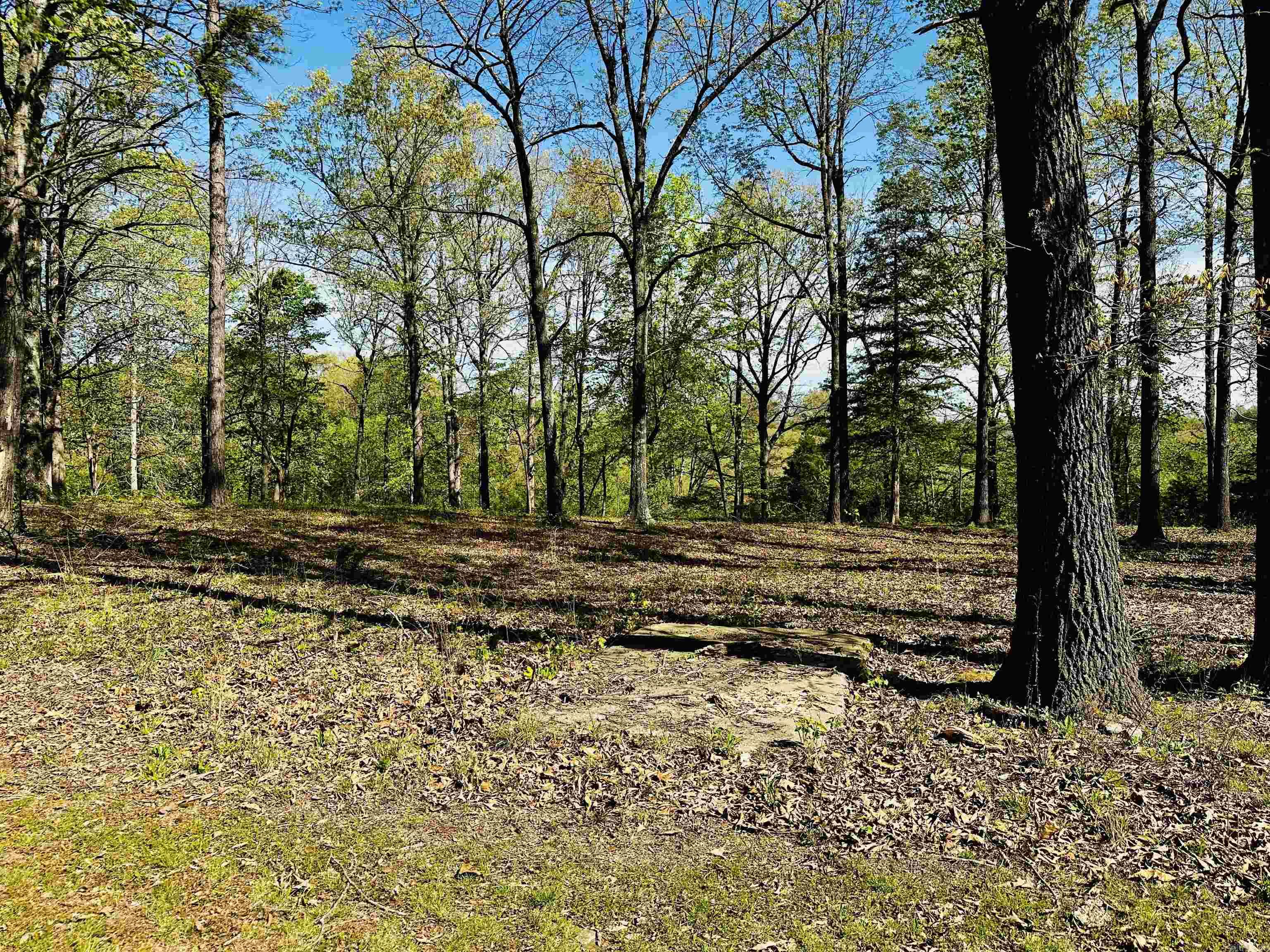 410 Davis Creek Road Property Photo 32