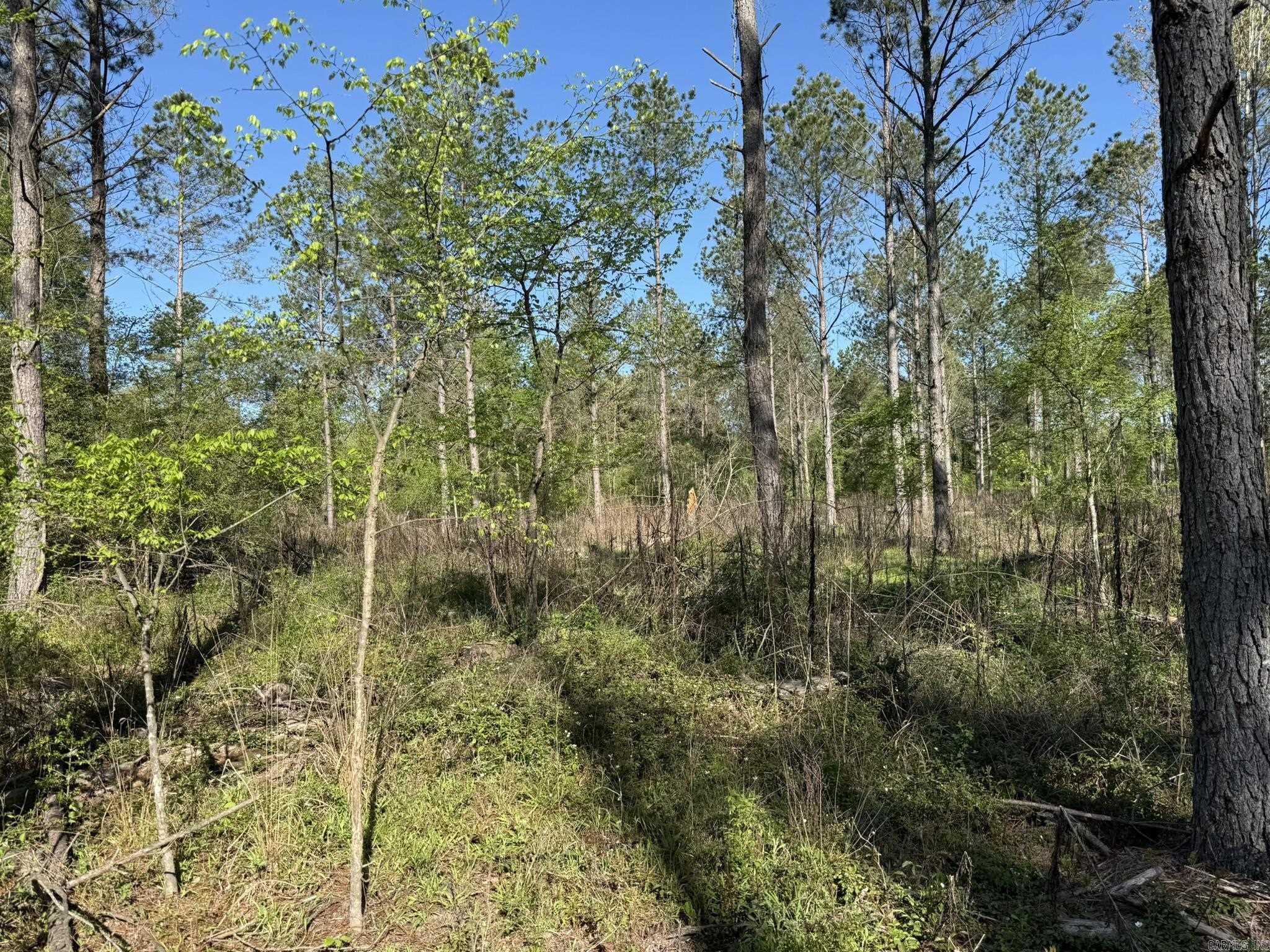 26013841 Property Photo 3