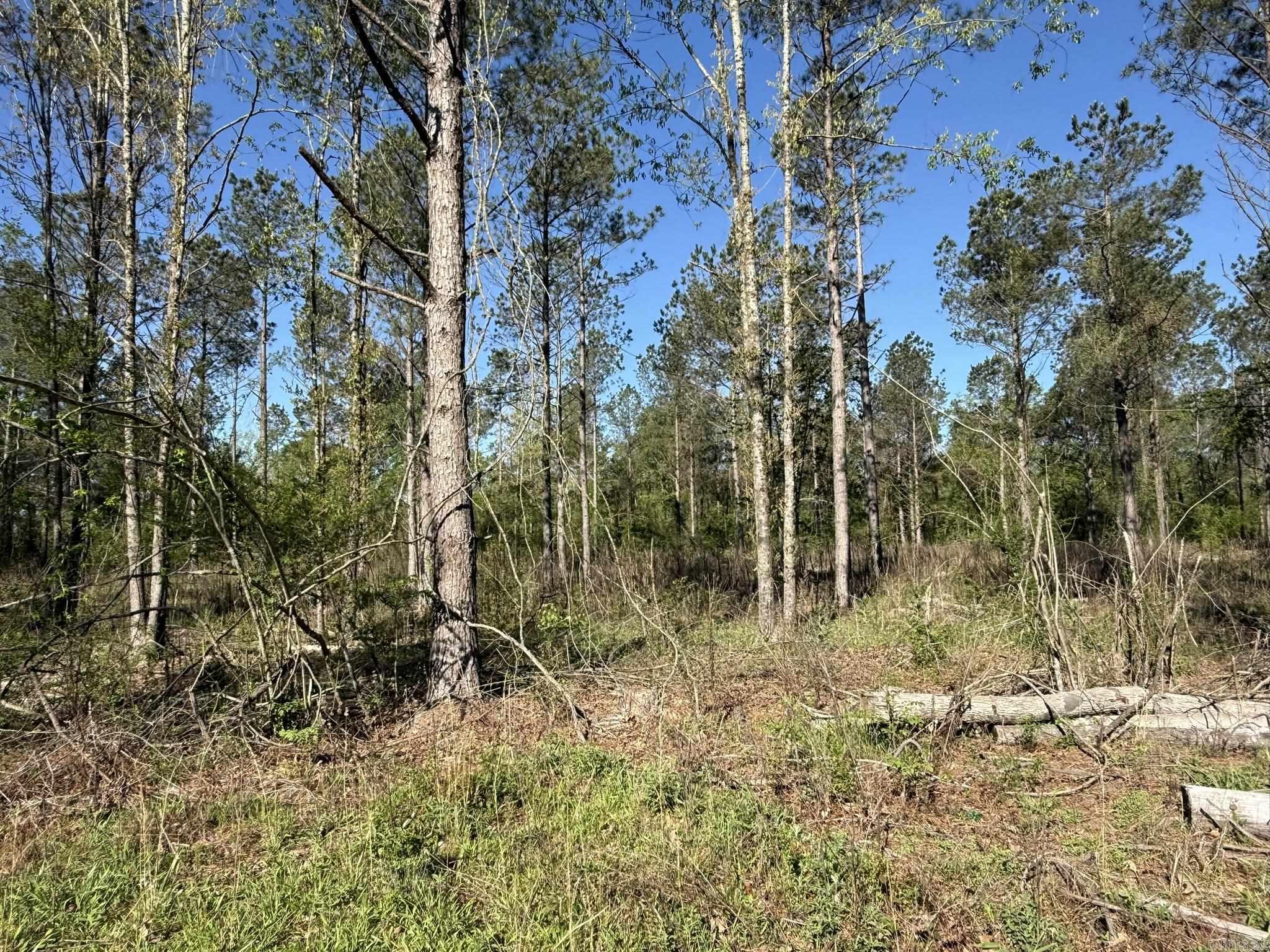 26013841 Property Photo 4