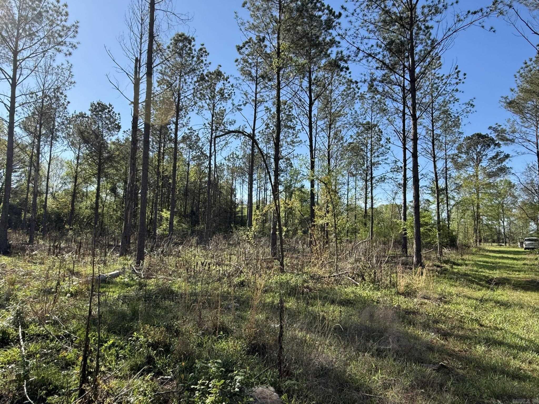 26013841 Property Photo 6