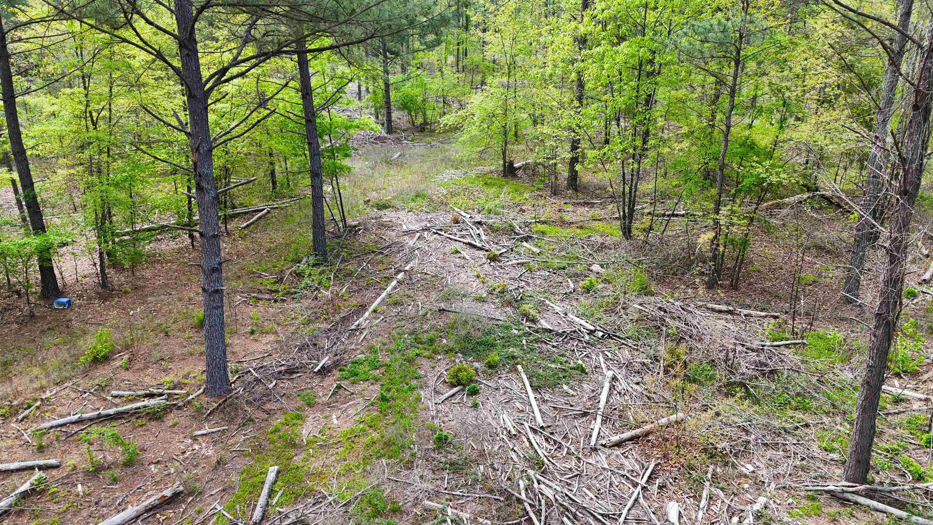 26013841 Property Photo 8