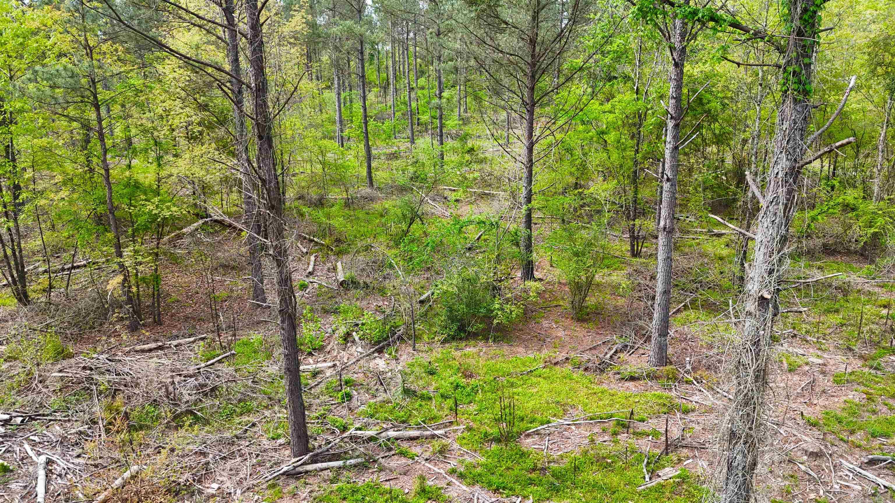 26013841 Property Photo 9