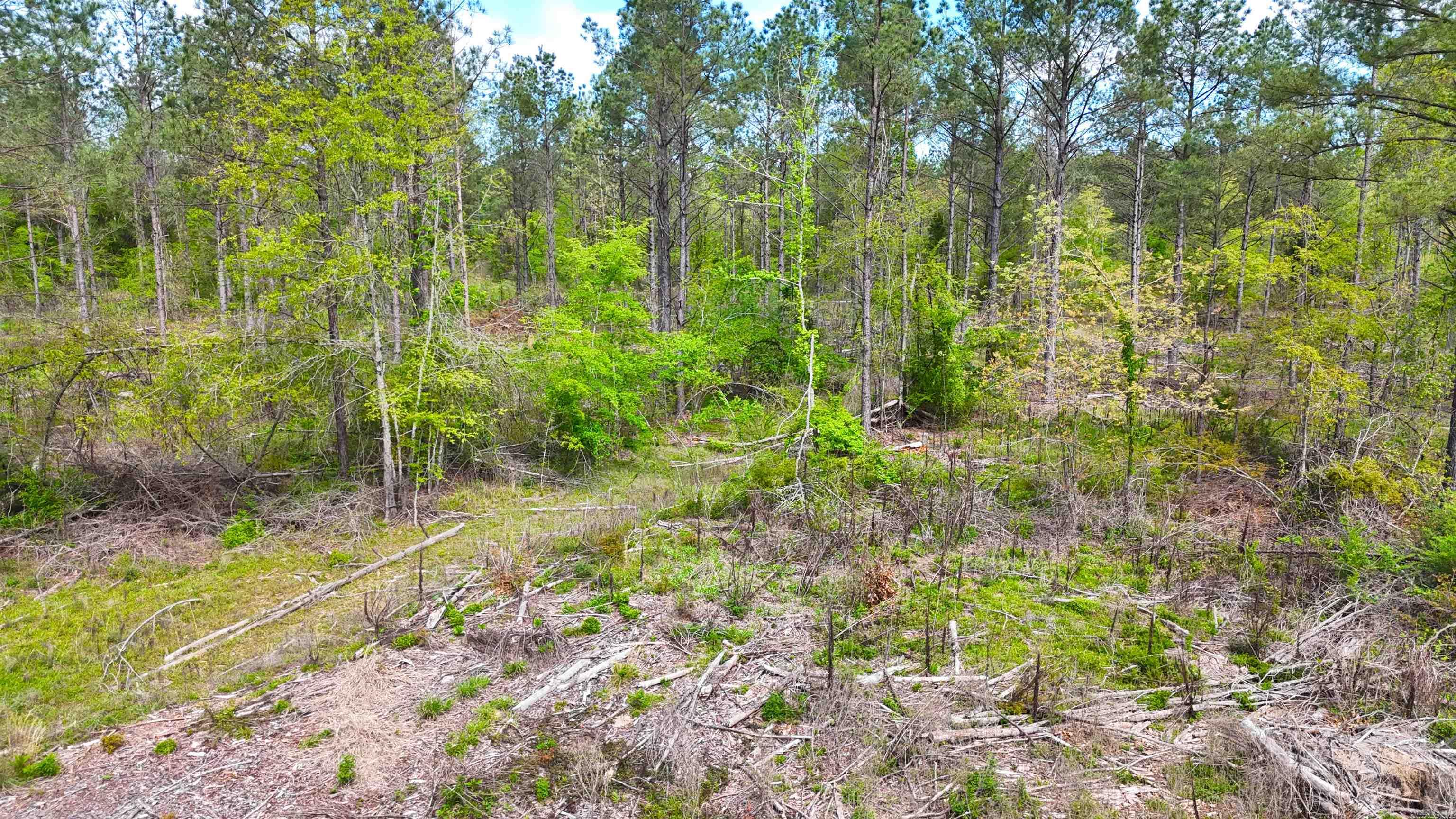 26013841 Property Photo 10